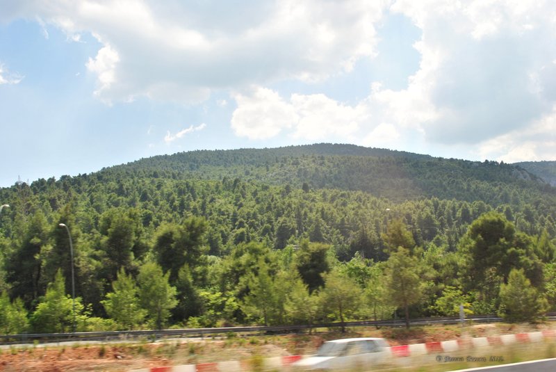 Image 0394_2012-06-02_19-14_D3000.jpg