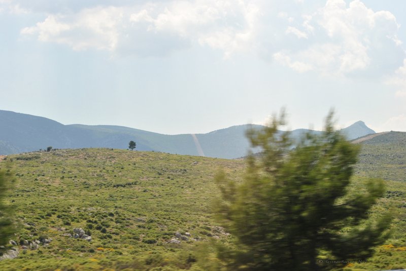 Image 0395_2012-06-02_19-15_D3000.jpg