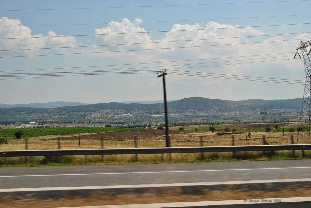 Image 0398_2012-06-02_19-28_D3000.jpg