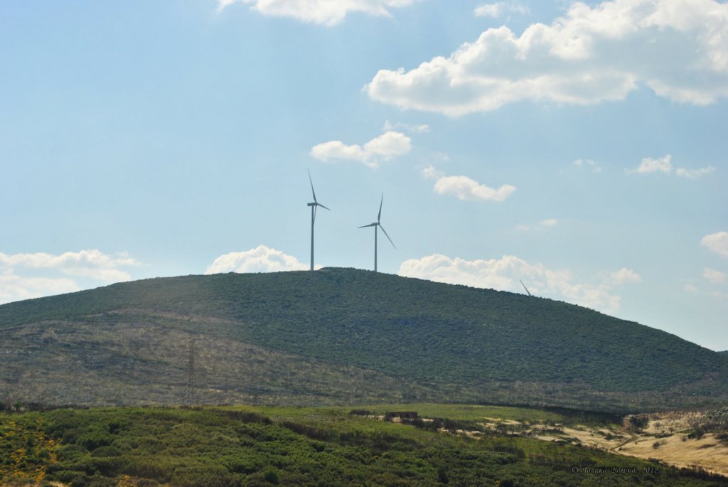 Image 0408_2012-06-02_20-20_D3000.jpg