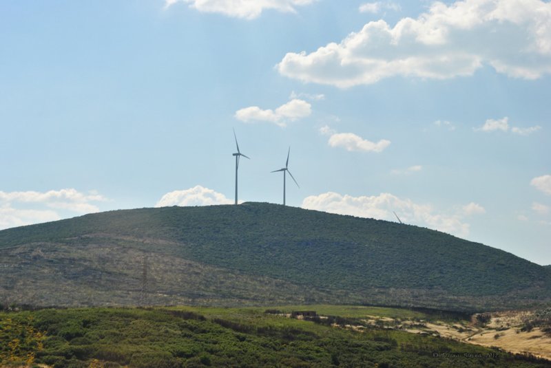 Image 0408_2012-06-02_20-20_D3000.jpg