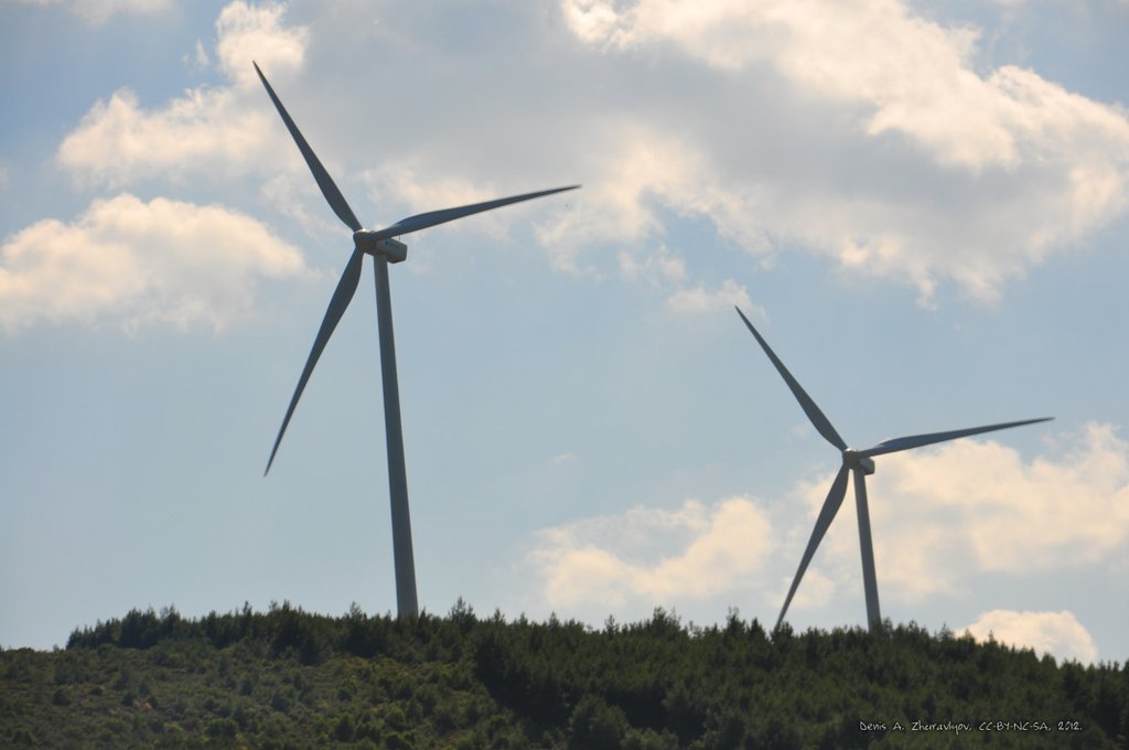 Image 0409_2012-06-02_20-23_D90.jpg