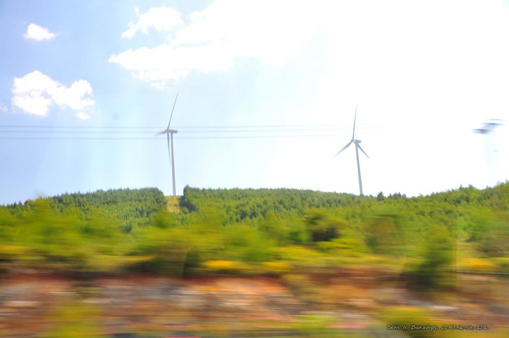 Image 0410_2012-06-02_20-24_D90.jpg