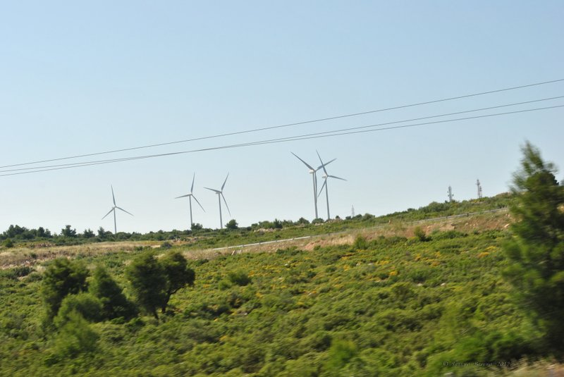 Image 0411_2012-06-02_20-24_D3000.jpg