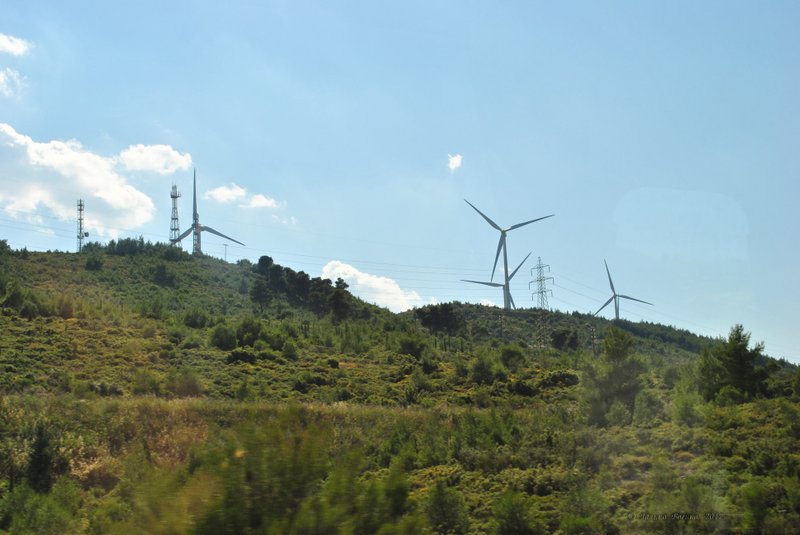 Image 0412_2012-06-02_20-25_D3000.jpg