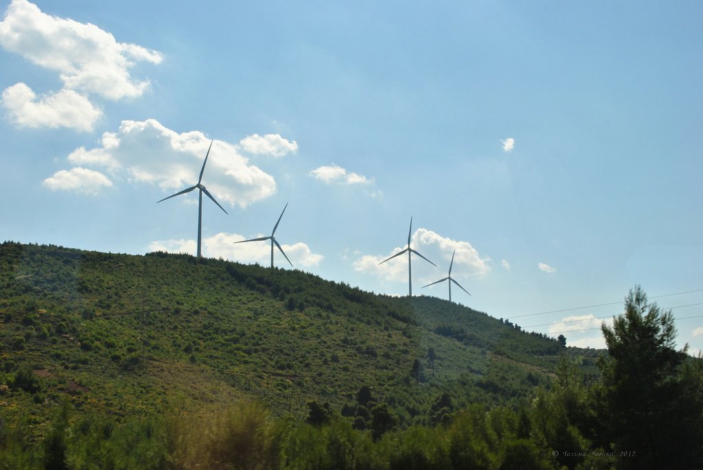 Image 0413_2012-06-02_20-25_D3000.jpg