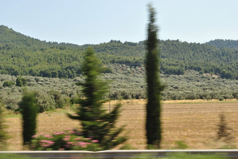 Image 0415_2012-06-02_20-30_D3000.jpg