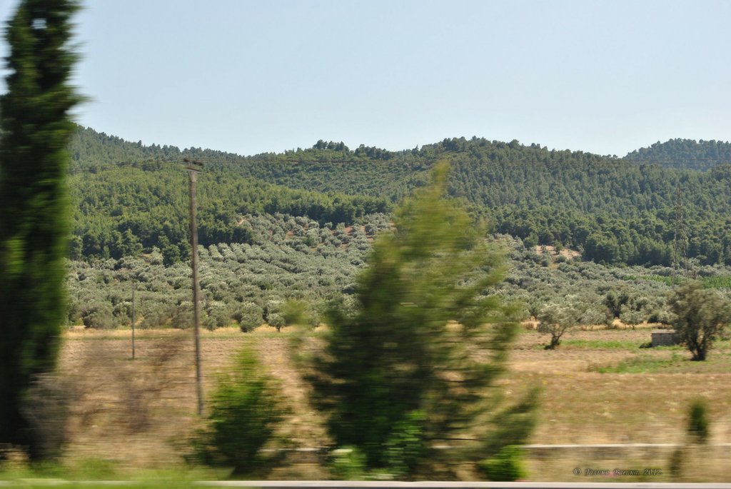 Image 0416_2012-06-02_20-30_D3000.jpg