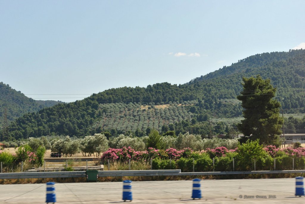 Image 0417_2012-06-02_20-30_D3000.jpg