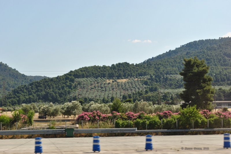 Image 0417_2012-06-02_20-30_D3000.jpg