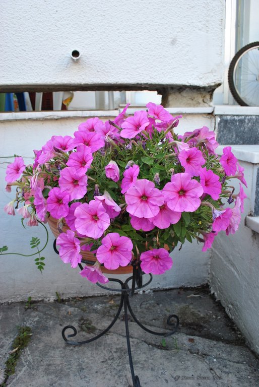 Image 0420_2012-06-03_22-44_D3000.jpg