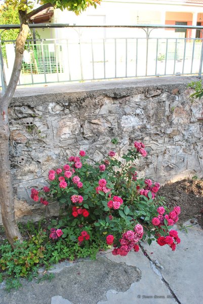 Image 0426_2012-06-03_22-46_D3000.jpg