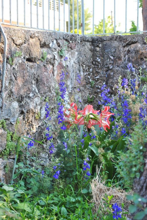 Image 0427_2012-06-03_22-46_D3000.jpg