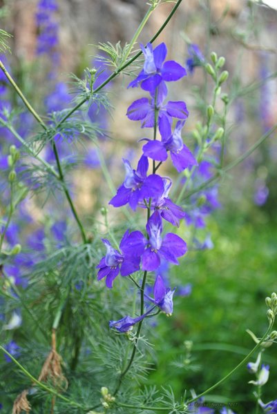 Image 0428_2012-06-03_22-47_D3000.jpg