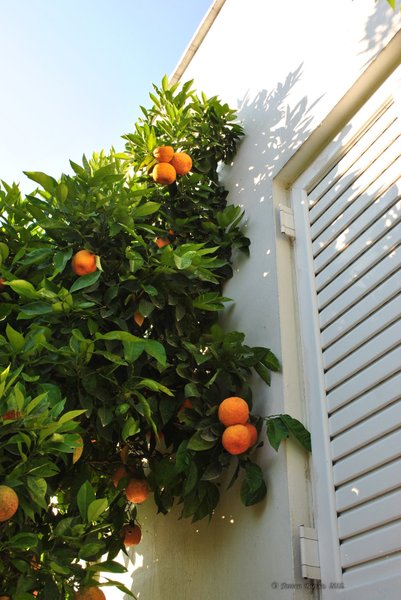 Image 0430_2012-06-03_22-49_D3000.jpg