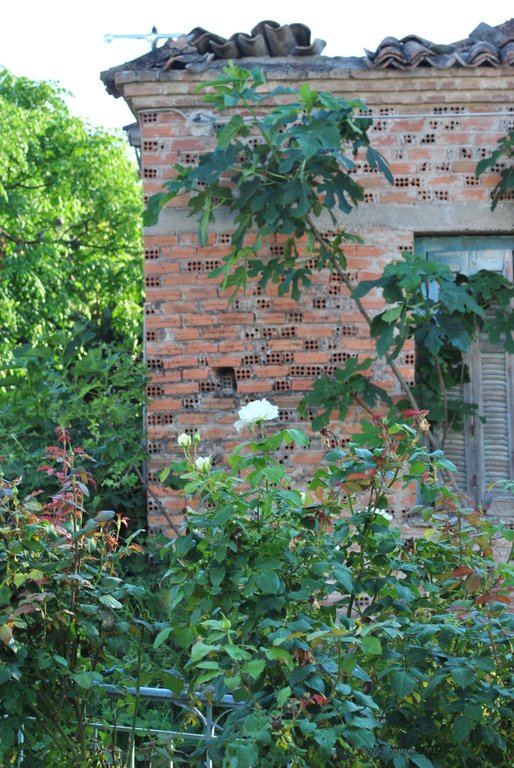 Image 0438_2012-06-03_22-58_D3000.jpg