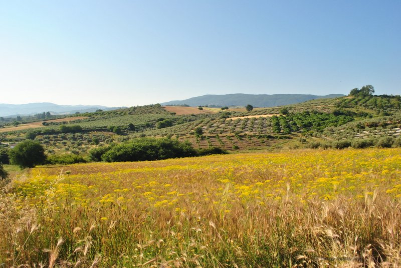 Image 0442_2012-06-04_12-38_D3000.jpg