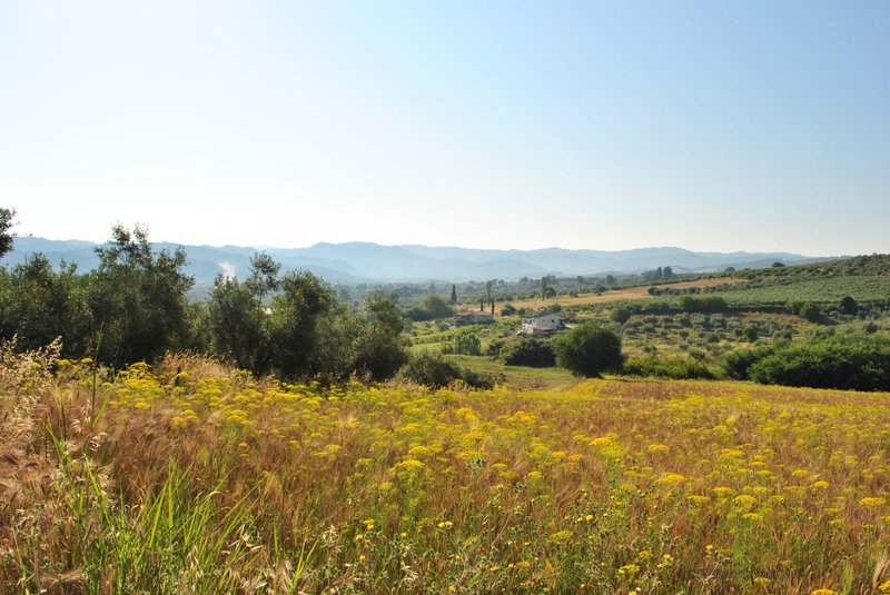 Image 0443_2012-06-04_12-38_D3000.jpg