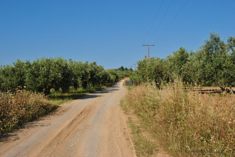 Image 0445_2012-06-04_12-39_D3000.jpg