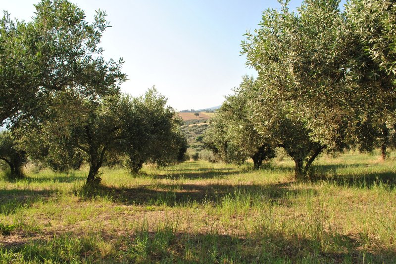 Image 0447_2012-06-04_12-42_D3000.jpg