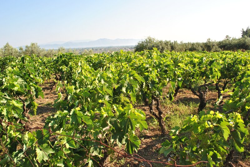 Image 0448_2012-06-04_12-43_D3000.jpg