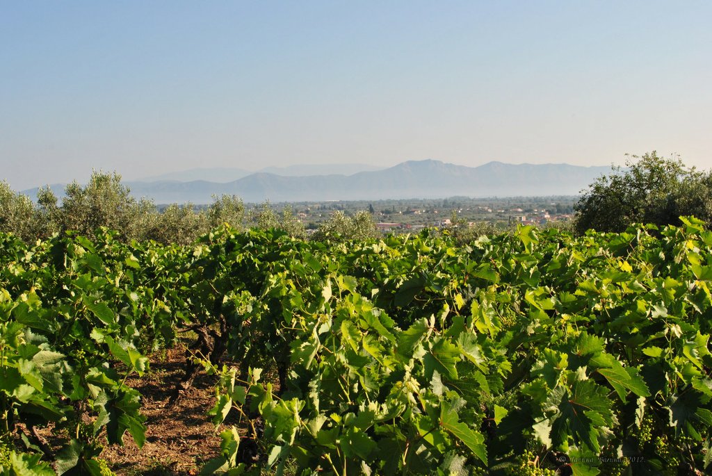 Image 0450_2012-06-04_12-43_D3000.jpg