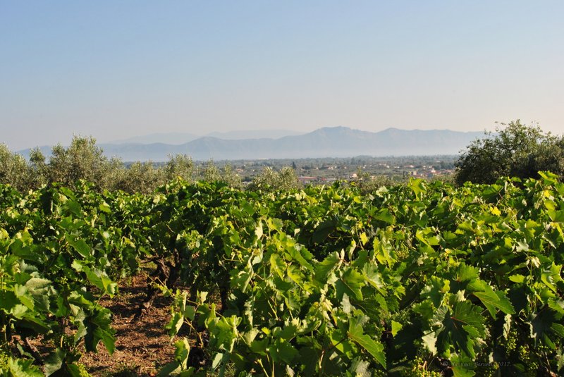 Image 0450_2012-06-04_12-43_D3000.jpg