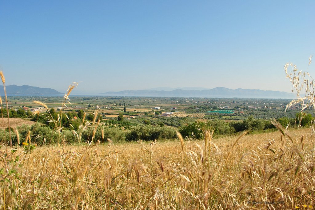 Image 0451_2012-06-04_13-02_D3000.jpg