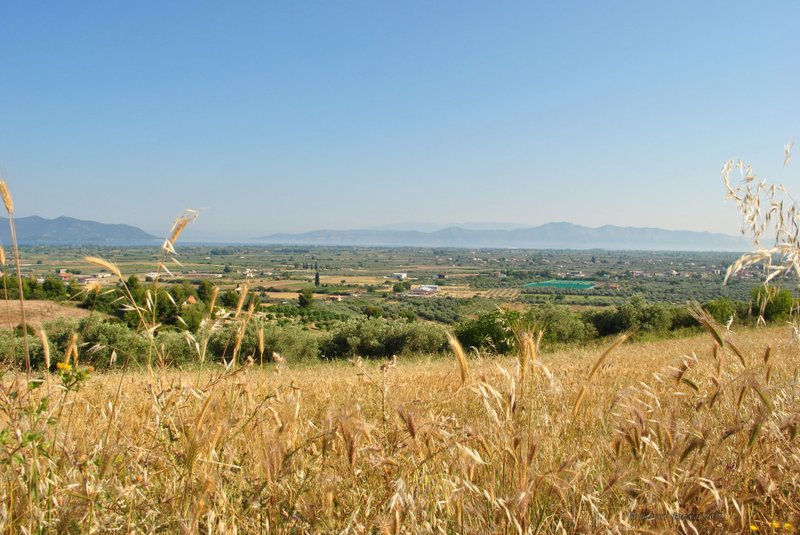 Image 0451_2012-06-04_13-02_D3000.jpg