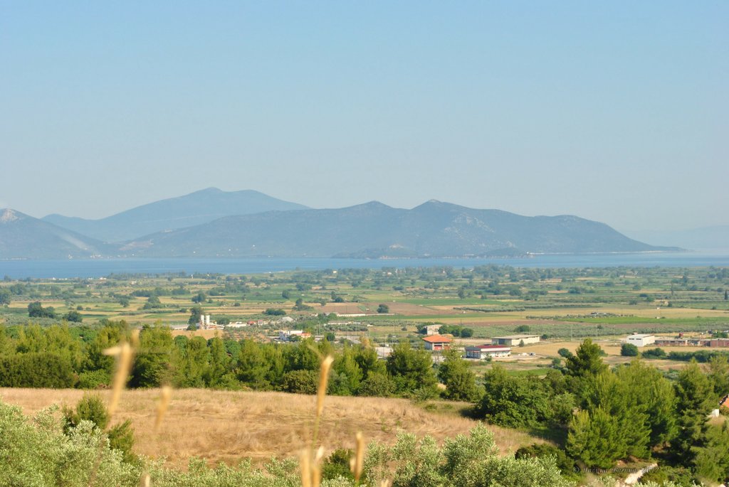 Image 0452_2012-06-04_13-02_D3000.jpg