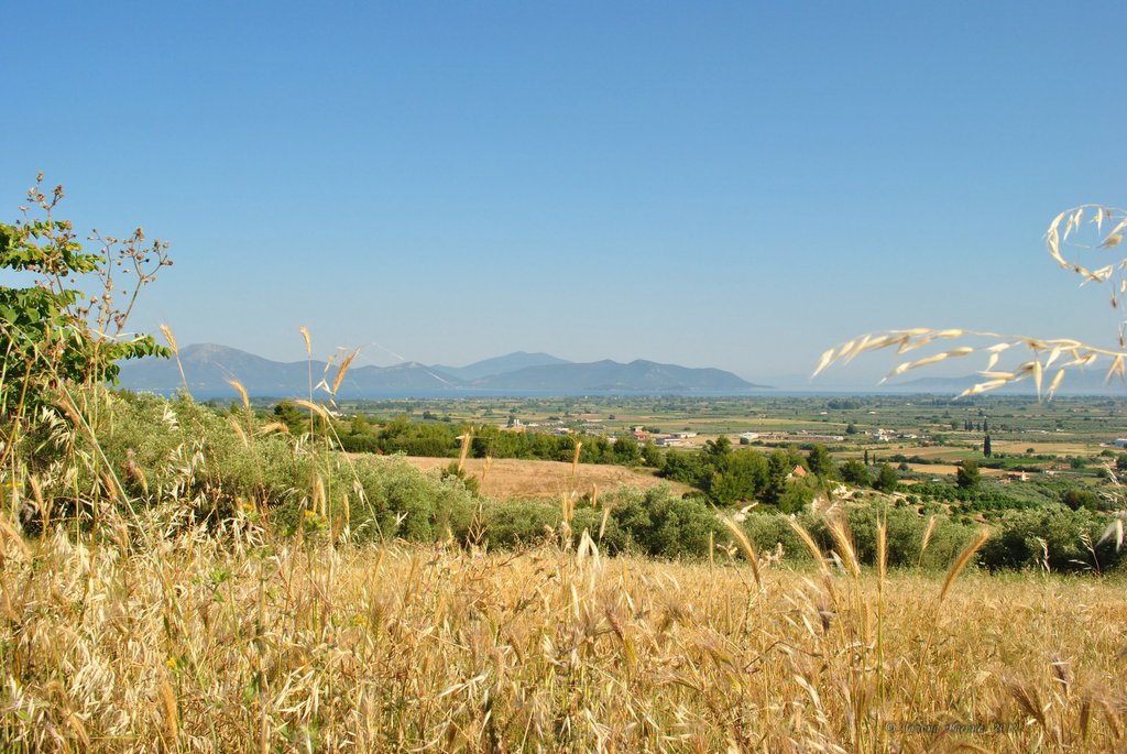 Image 0453_2012-06-04_13-02_D3000.jpg