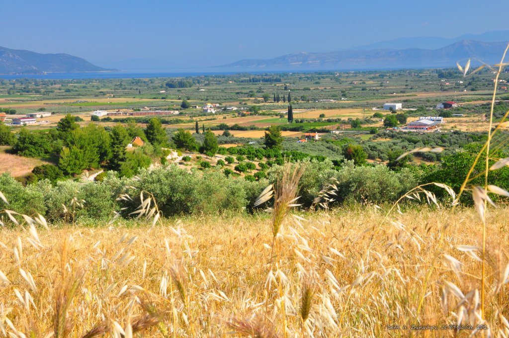 Image 0454_2012-06-04_13-02_D90.jpg