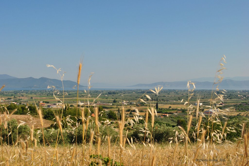 Image 0455_2012-06-04_13-02_D3000.jpg