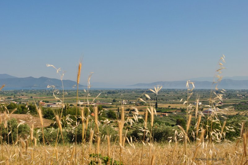 Image 0455_2012-06-04_13-02_D3000.jpg