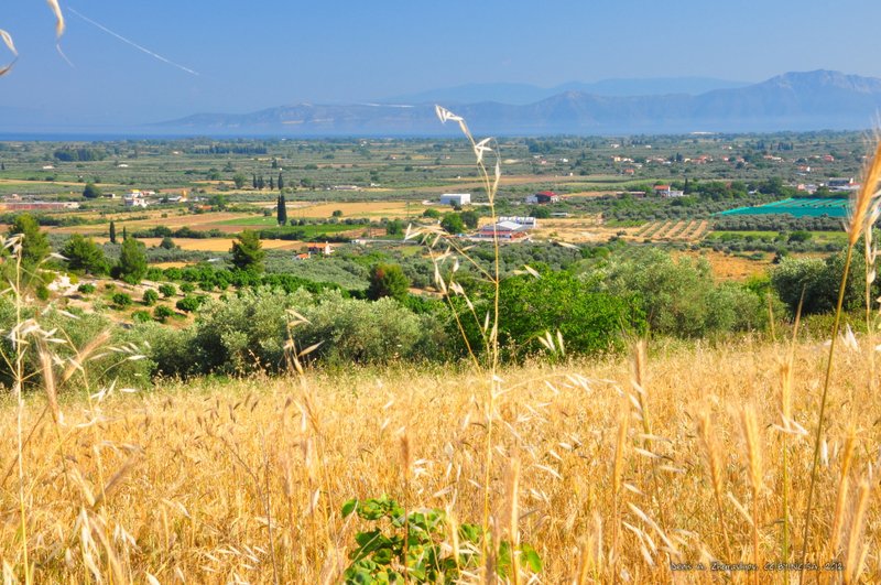 Image 0456_2012-06-04_13-02_D90.jpg