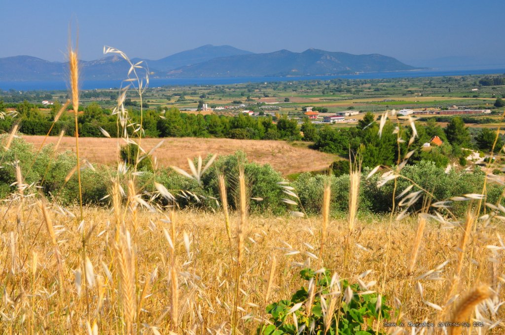 Image 0457_2012-06-04_13-03_D90.jpg