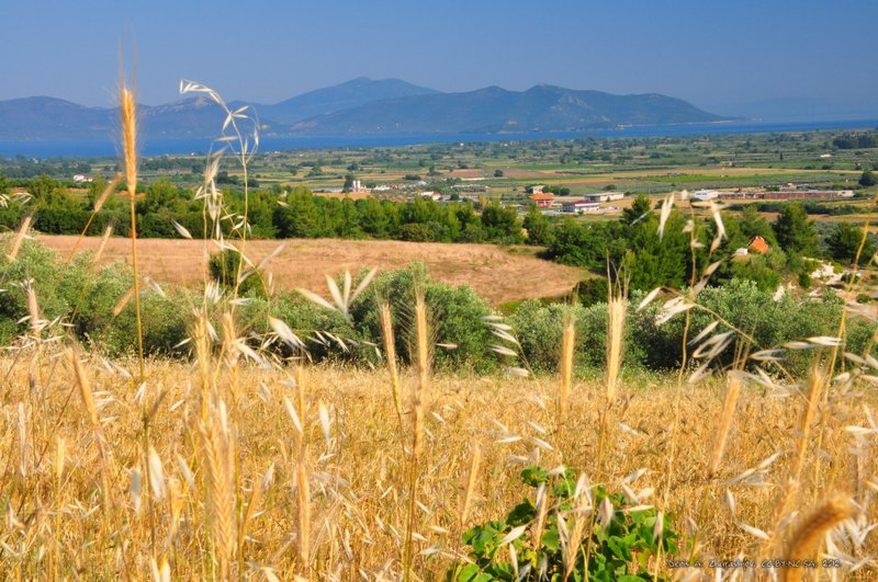 Image 0457_2012-06-04_13-03_D90.jpg