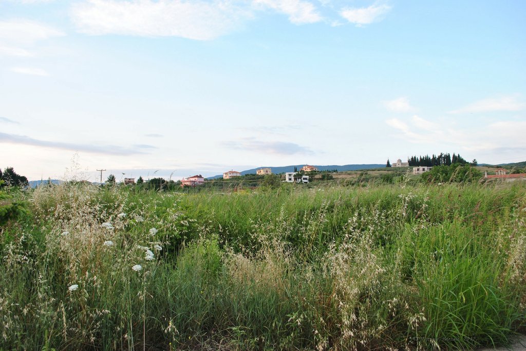 Image 0471_2012-06-05_10-25_D3000.jpg