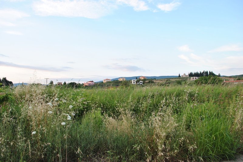 Image 0471_2012-06-05_10-25_D3000.jpg