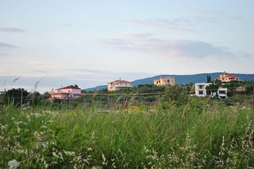 Image 0472_2012-06-05_10-26_D3000.jpg