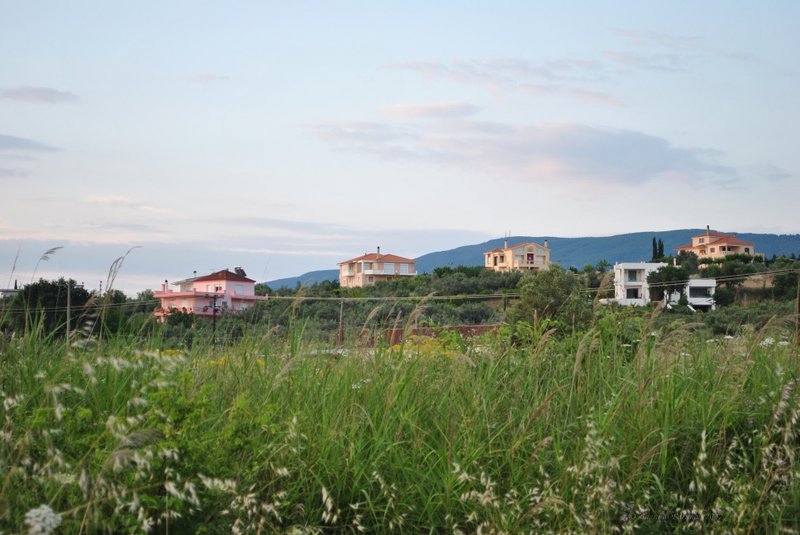 Image 0472_2012-06-05_10-26_D3000.jpg