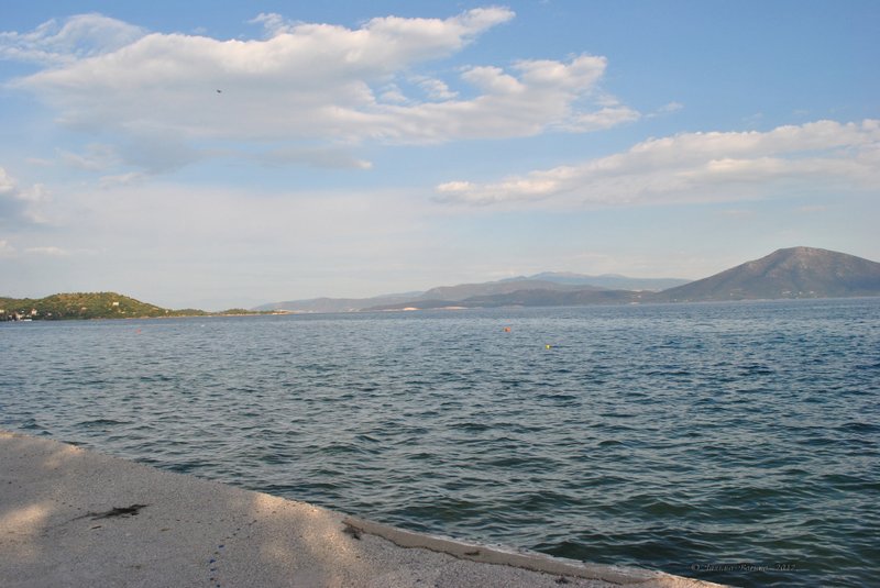 Image 0474_2012-06-05_11-41_D3000.jpg