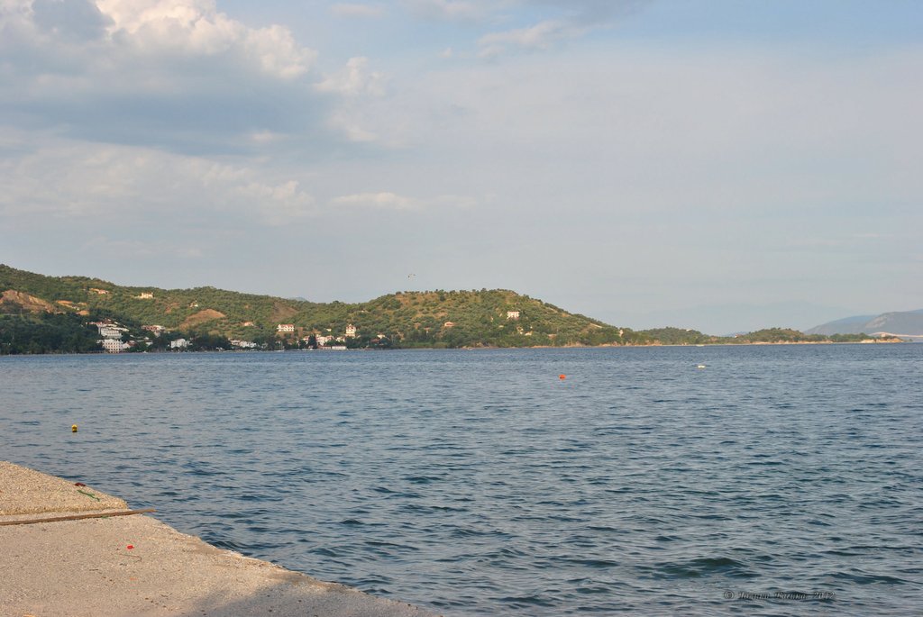 Image 0475_2012-06-05_11-41_D3000.jpg