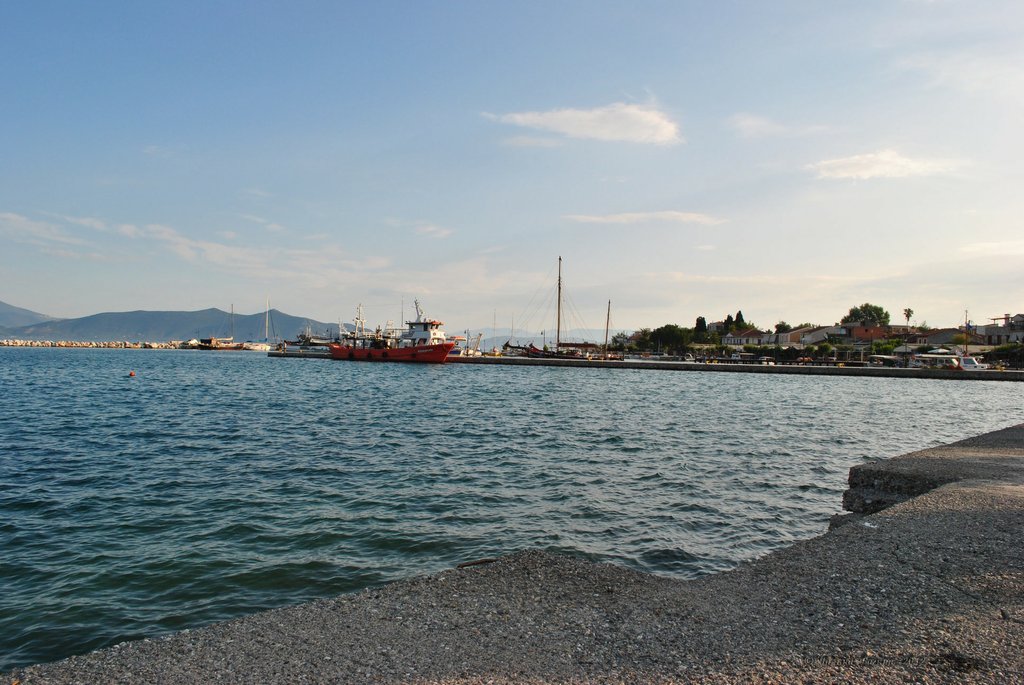 Image 0478_2012-06-05_11-41_D3000.jpg