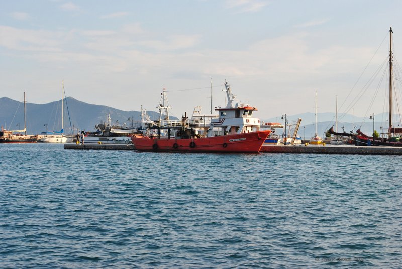 Image 0479_2012-06-05_11-41_D3000.jpg