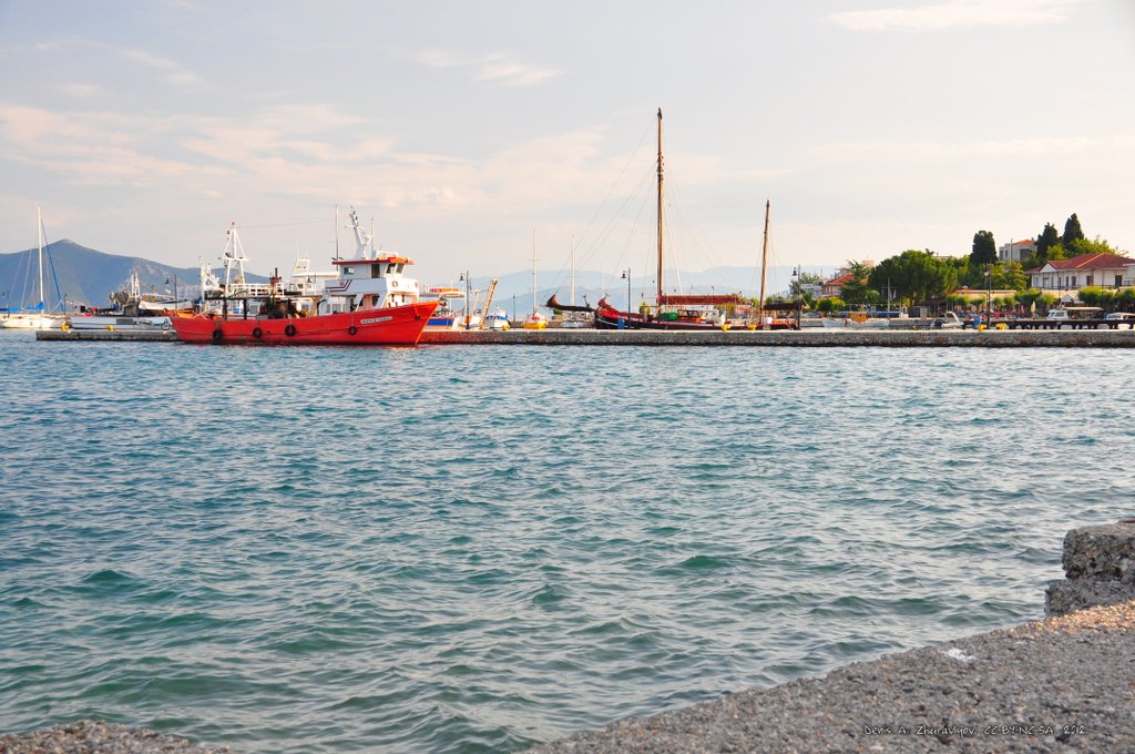 Image 0480_2012-06-05_11-43_D90.jpg