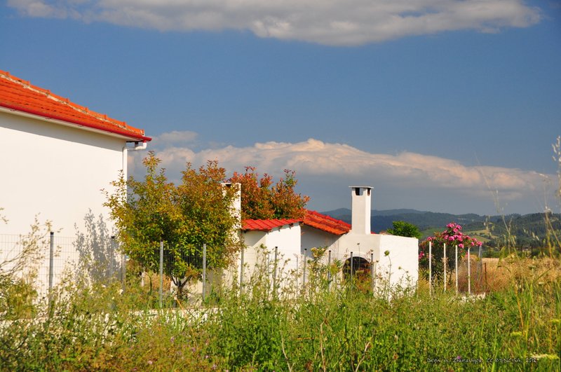 Image 0481_2012-06-05_21-43_D90.jpg