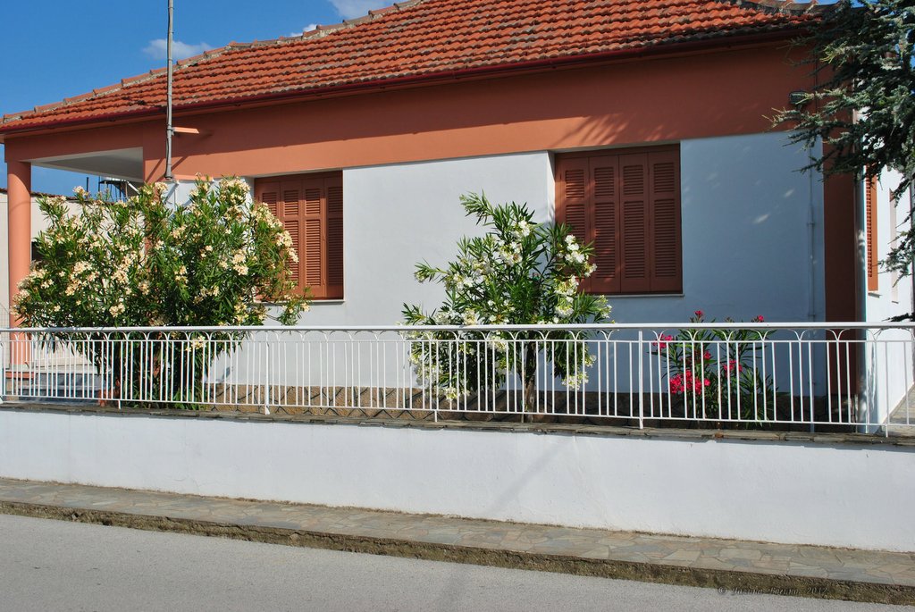 Image 0482_2012-06-05_21-46_D3000.jpg