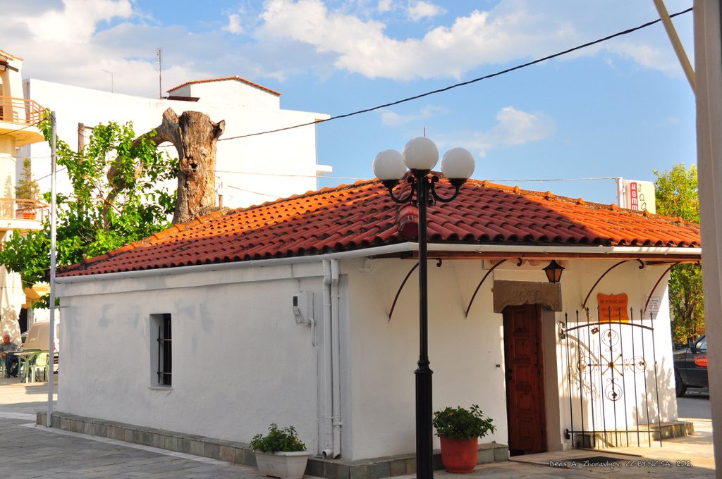 Image 0484_2012-06-05_21-55_D90.jpg