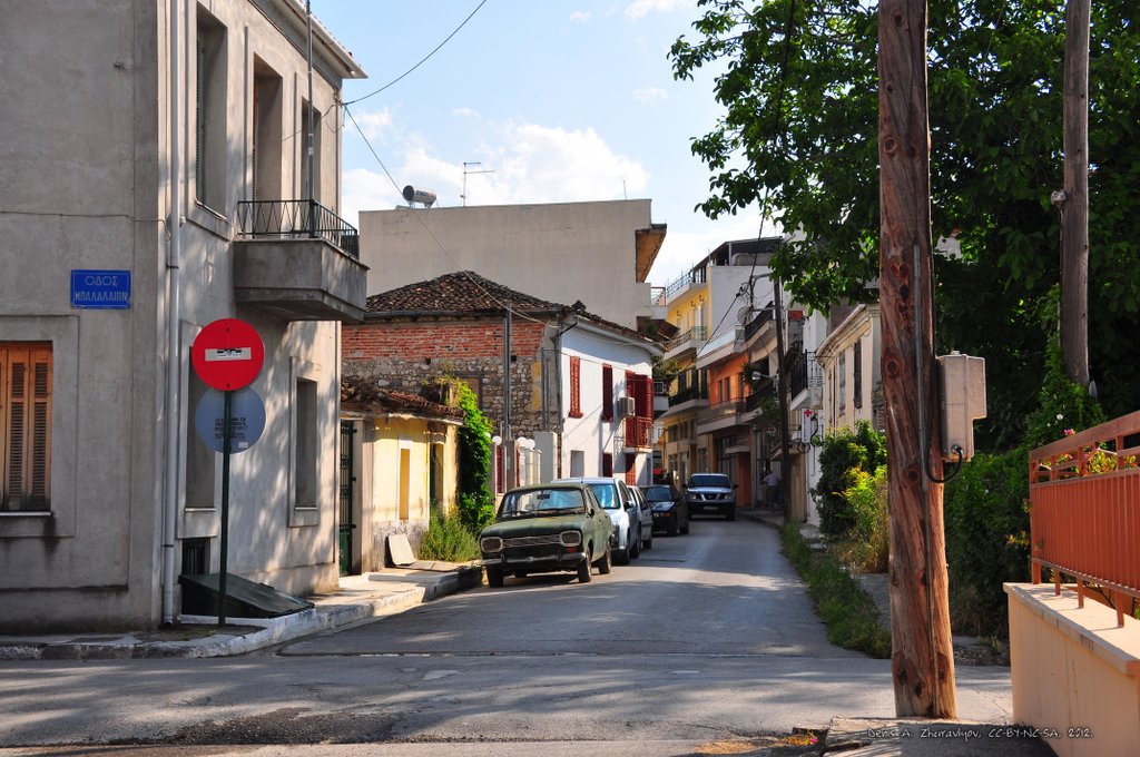 Image 0487_2012-06-05_22-00_D90.jpg